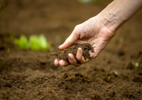 کودکی که خاک باغچه در تهران را می خورد